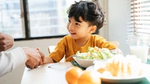 Child eating lunch shaking hands